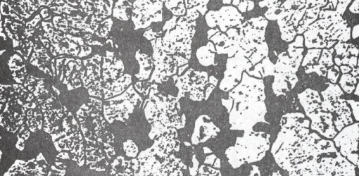 01_aldegheri_indagine