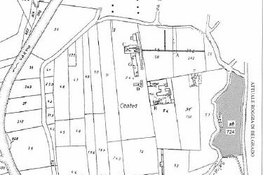 gradiscutta varmo 2003